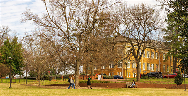 students walking on a college campus