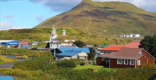 cluster of homes in a rural landscape