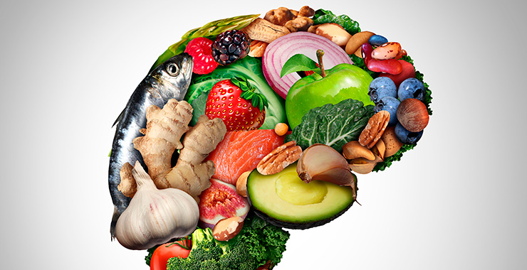 fruits, vegetables, and nuts forming the shape of a human brain