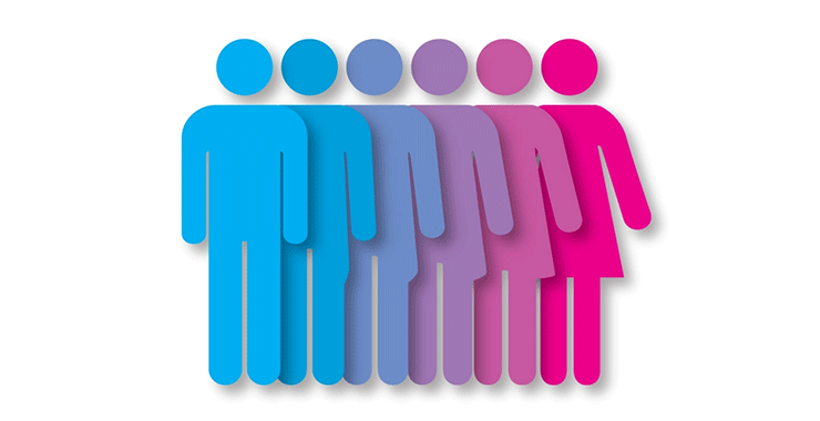 graphic of gender variations