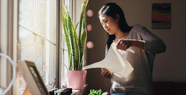woman watering a plant