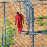 immigrant in custody