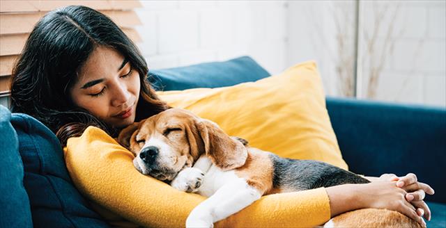 woman napping with a dog