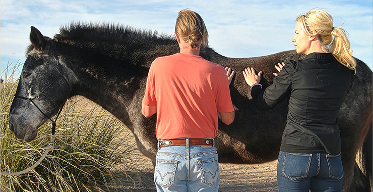 two people looking at a horse