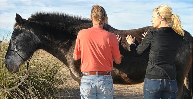 two people looking at a horse