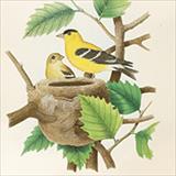 artwork birds in a nest
