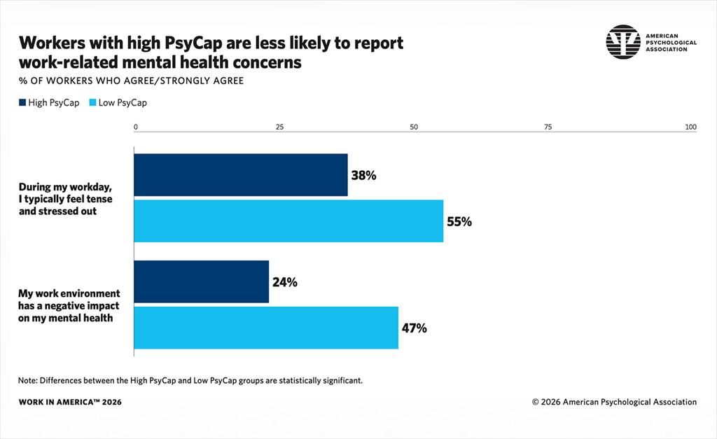Infographic showing detailed description of PsyCap and mental health concerns.