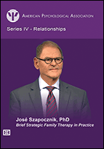 Cover of Brief Strategic Family Therapy in Practice (medium)