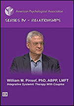 Cover of Integrative Systemic Therapy With Couples (medium)
