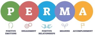 P.E.R.M.A