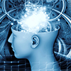 Pursuing a Career in Brain Science & Cognitive Psychology