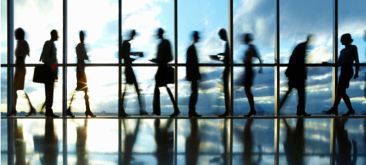 Helping Businesses and Organizations