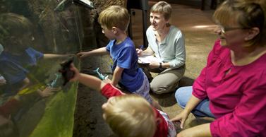 Children are a receptive audience because they are naturally curious about animals.