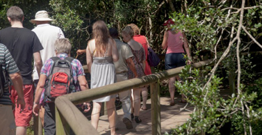 Research has shown that spending time in nature helps to reduce stress and increase a sense of wellness.