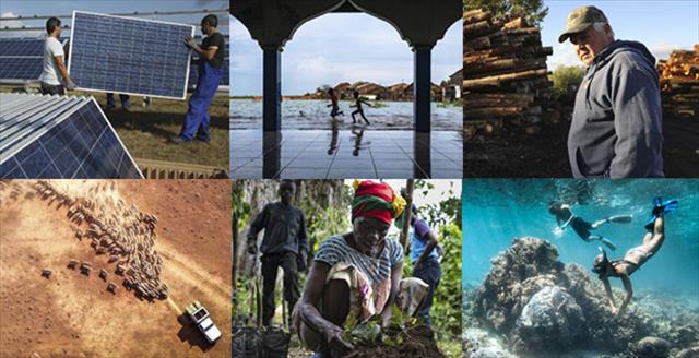 collage of images related to climate change