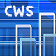 Center for Workforce Studies 