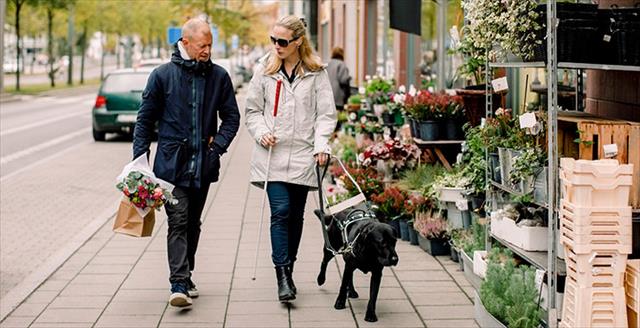 blind woman with guide dog talking with man while walking on sidewalk