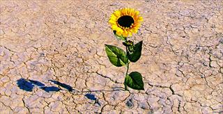 Recovering emotionally from disaster