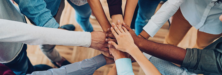 Divisions Of Apa : APA Membership Types: Member – WPFQTM