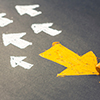 What I Wish I Had Known about Leadership When I Received My Doctorate	