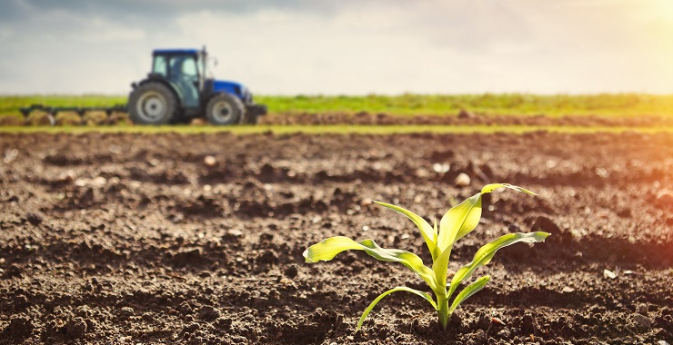 Buy Professional Farmer: American Dream