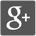 Google+
