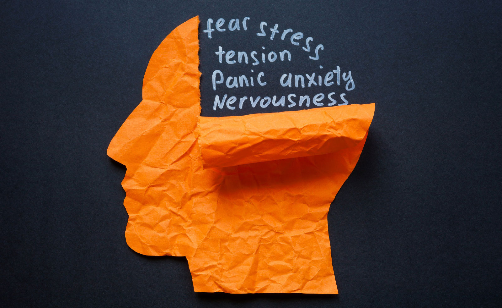 Torn paper head and the words fear stress and anxiety. Mental health struggles and emotional distress.