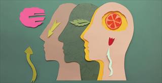 series of heads with different shapes inside