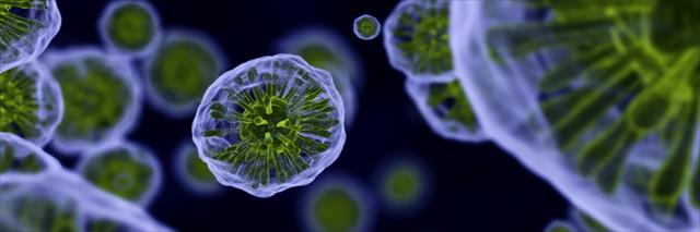 Origin and Discovery of HIV