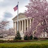 U.S. Supreme Court building surrounded by cherry blossoms