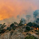 Forest fires caused by climate change