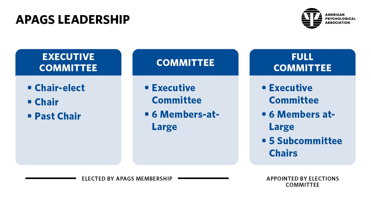APAGS leadership graphic outlining the members of the executive committee, committee, and full committee