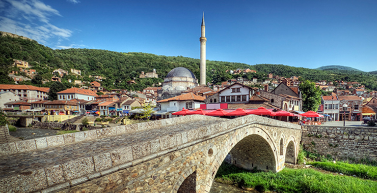 APA International Learning Partner Program in Kosovo