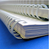  Council Leadership Team  Division Officers Handbook 