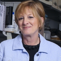 Pamela Dalton, PhD