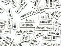 photo of magnetic words collection