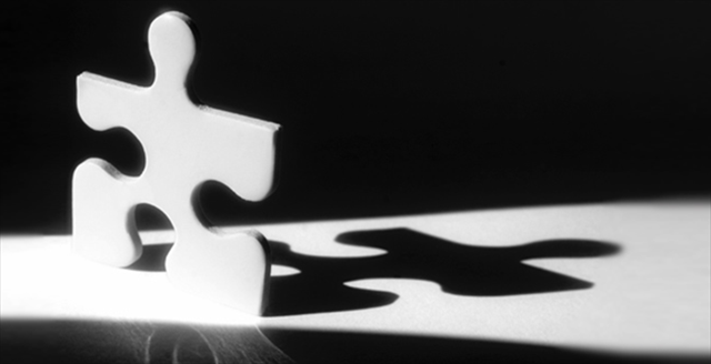 puzzle piece and shadow
