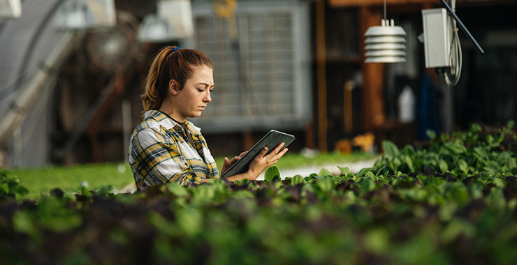 female farm worker using digital tablet in greenhouse