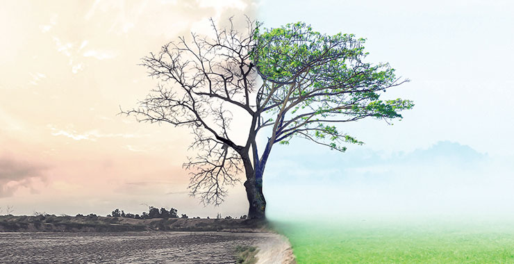 Alternative Therapies for PTSD The Science of MindBody