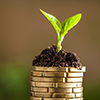 Resource list for international opportunities, including APA sources, Fulbright awards, National Institutes of Health grants, National Science Foundation grants and awards from other organizations.