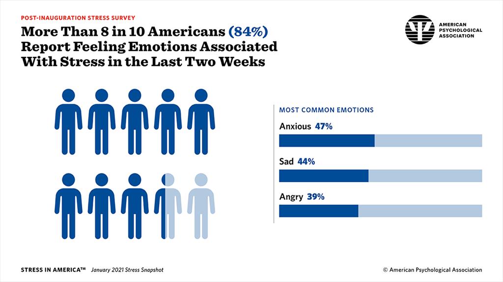 2021 Stress in America Graphs