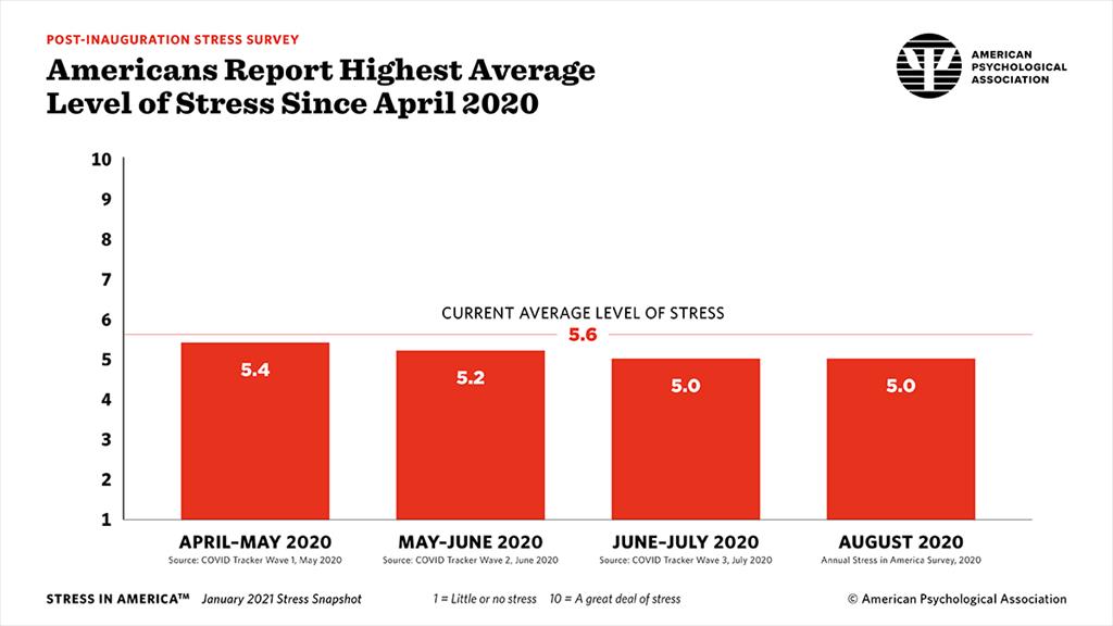 2021 Stress in America Graphs