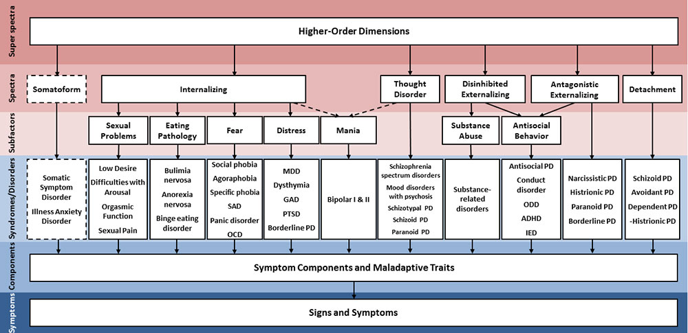 chart showing spectra of the Hierarchical Taxonomy of Psychopathology