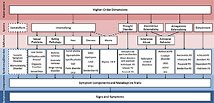 small version of chart showing spectra of the Hierarchical Taxonomy of Psychopathology