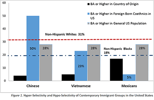 Figure 1. Hyper-Selectivity and Hypo-Selectivity of Contemporary Immigrant Groups in the United States