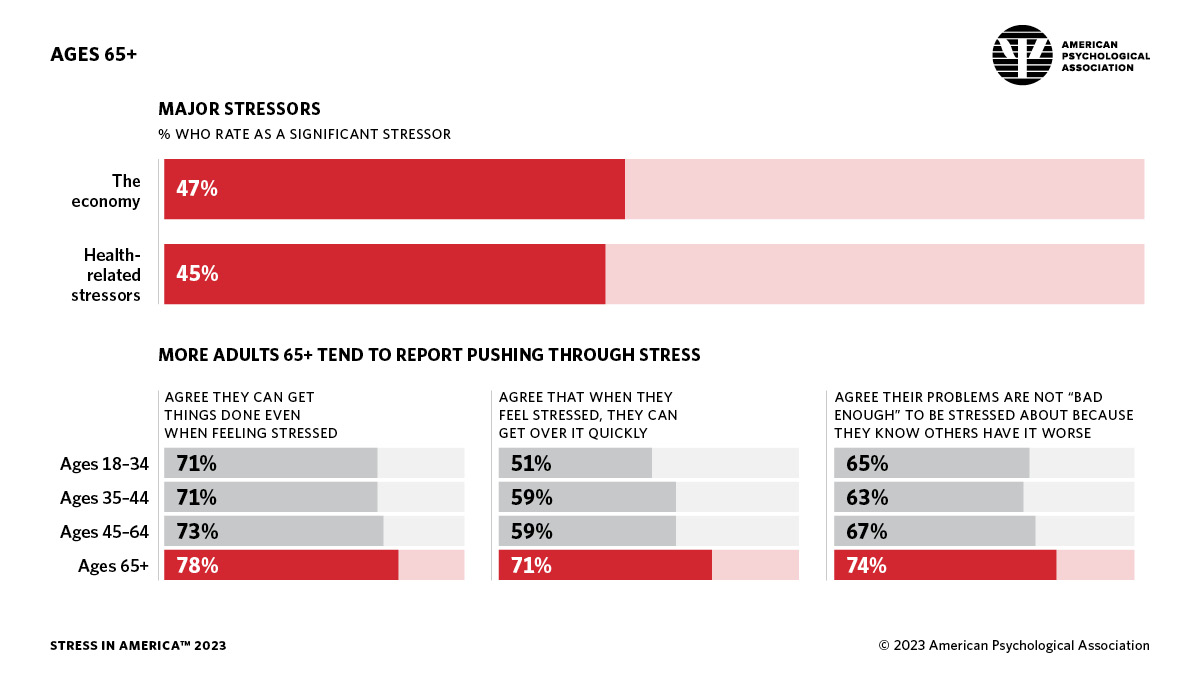 Infographic showing sources of stress for people ages 65+