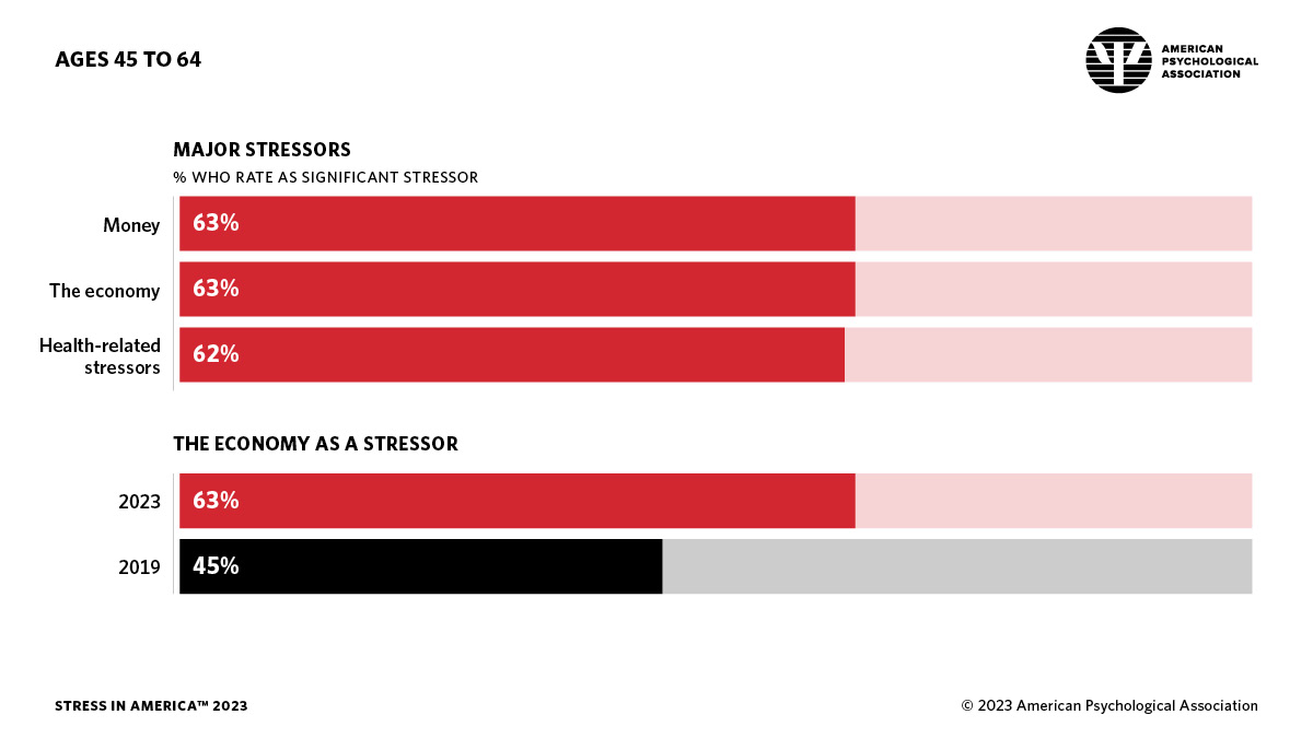 infographic showing sources of stress for people ages 45–64