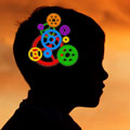 Child brain