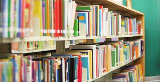 book diversity