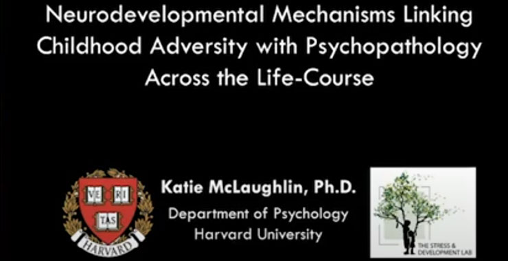 Black background emblazoned with presentation title, “Future Directions in Childhood Adversity and Youth Psychopathology.”